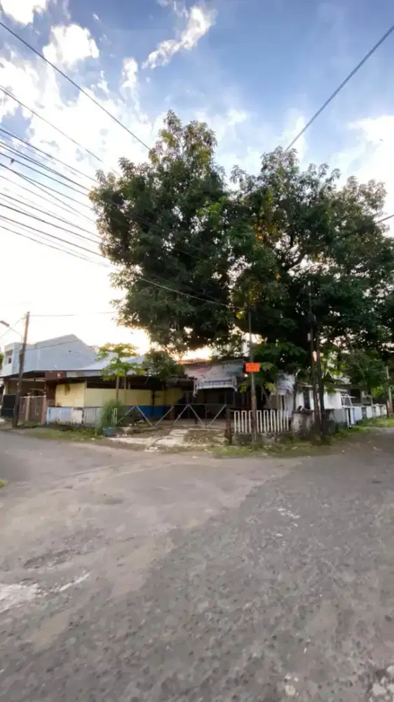 Permatasari alauddin apa adanya murah