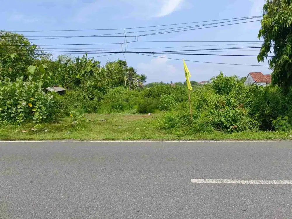 TANAH STARTEGIS 14 ARE PINGGIR JALAN RAYA NEGARA PENGAMBENGAN KOTA PELABUHAN INDUSTRI