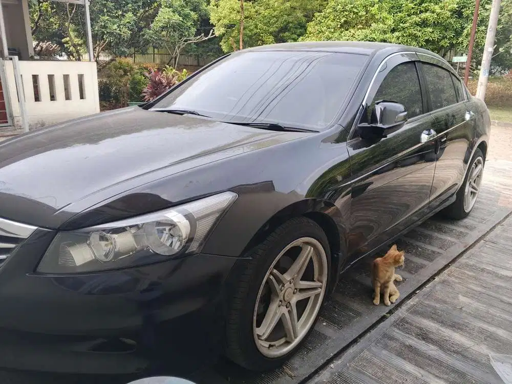 Honda Accord 2011 Bensin