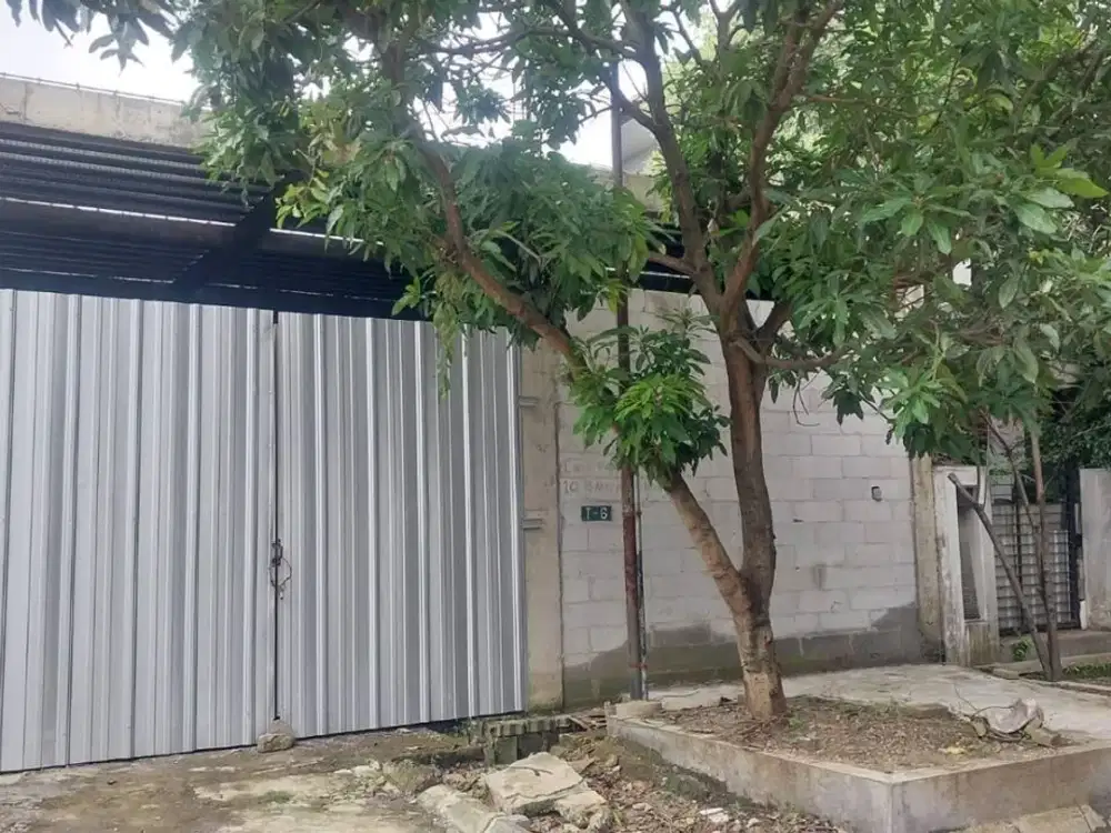 Rumah Jajar Tunggal Utara Surabaya Murah SAM.YA6356