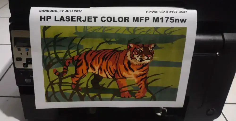 Printer HP LaserJet Color MFP N175nw