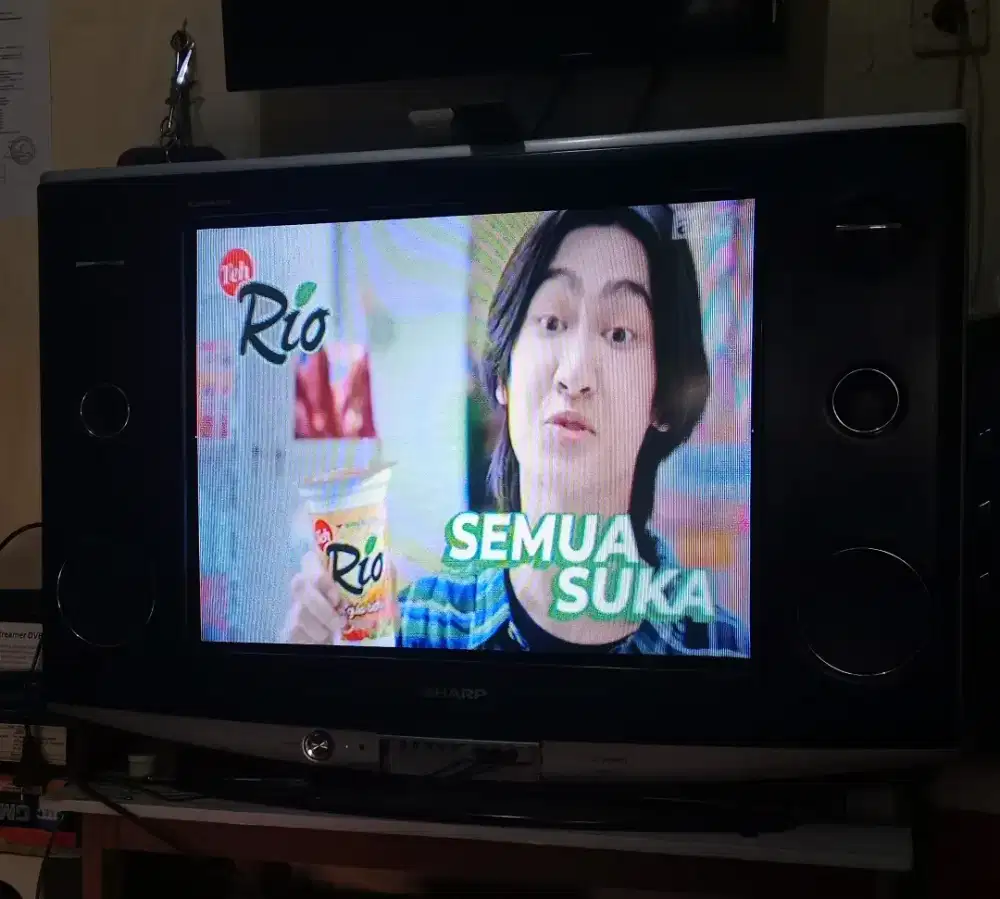 TV SHARP ALEXANDER 29 inchi