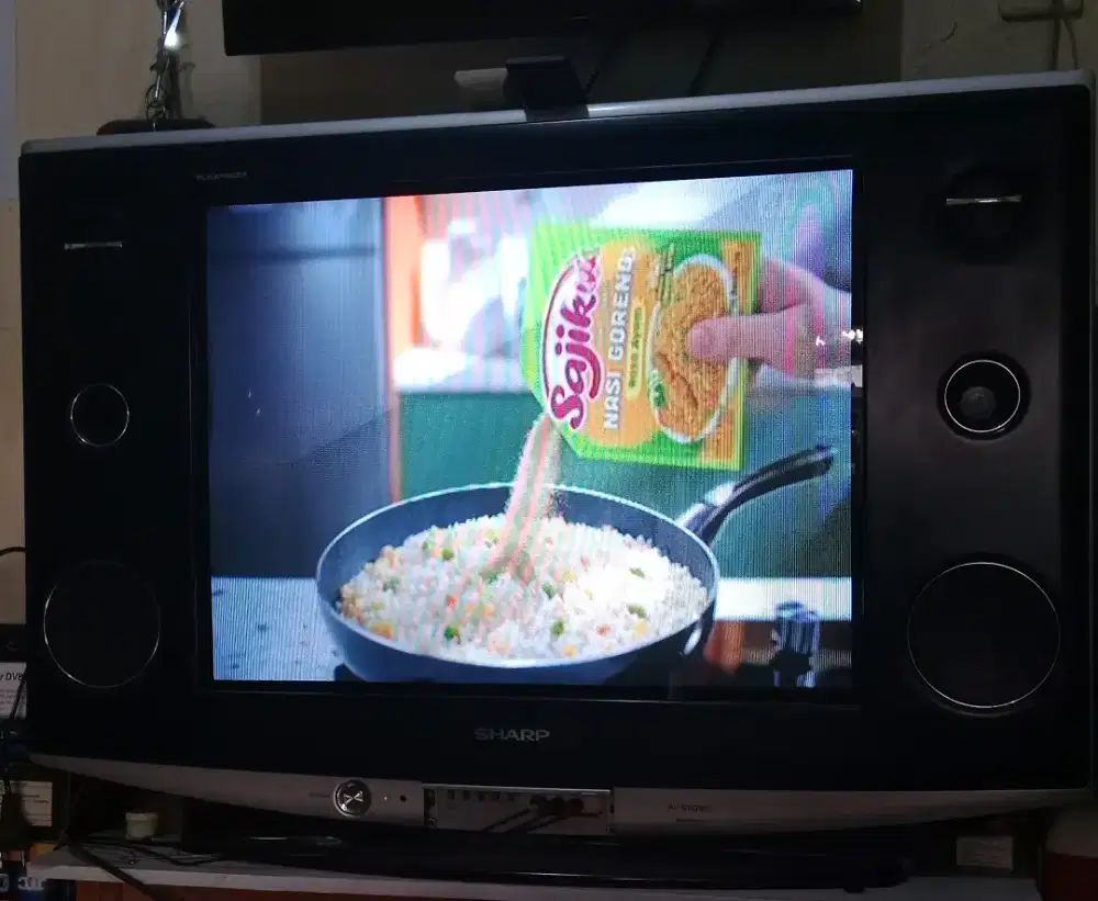 TV SHARP ALEXANDER 29 inchi