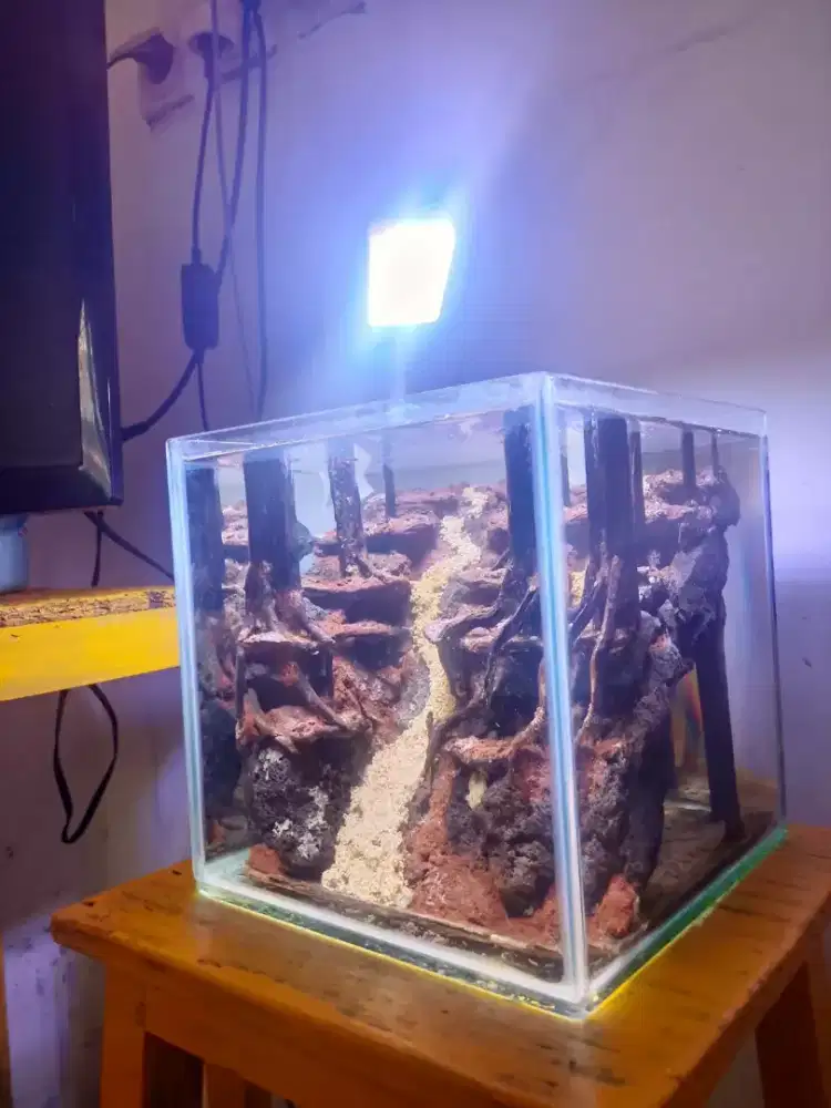 Aquarium aquascape
