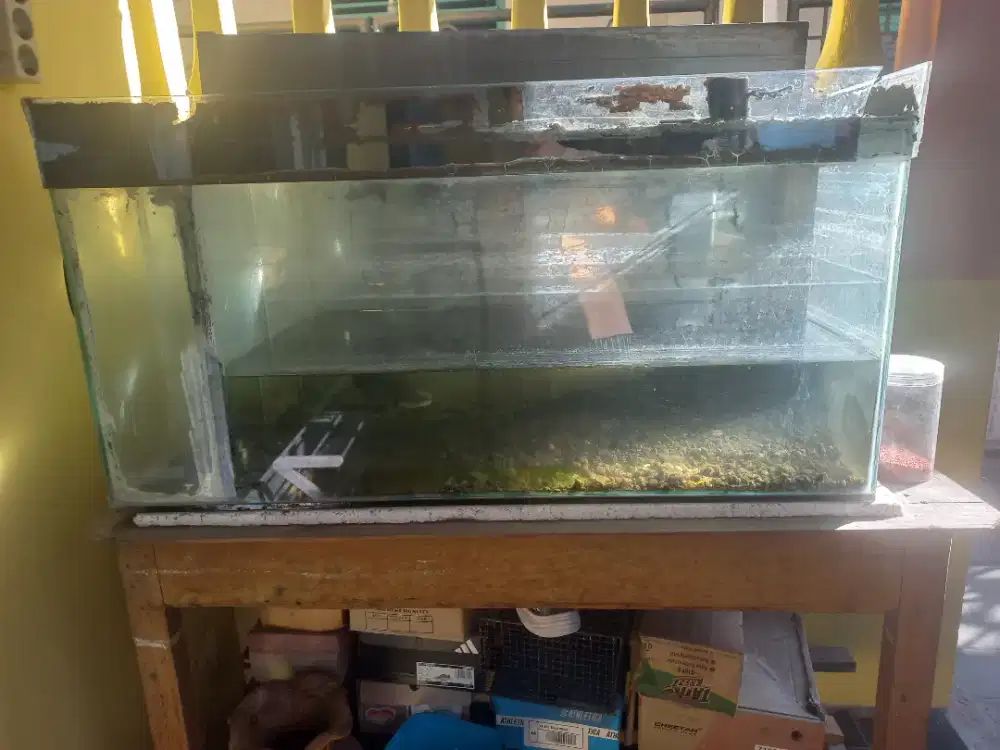 Acesoris tempat ikan hias