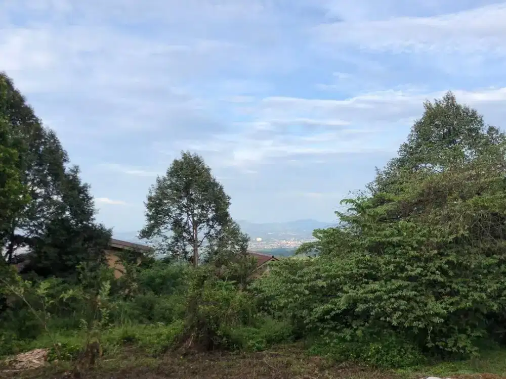 Dijual Tanah Cocok Untuk Villa (Bawah Pasaran)