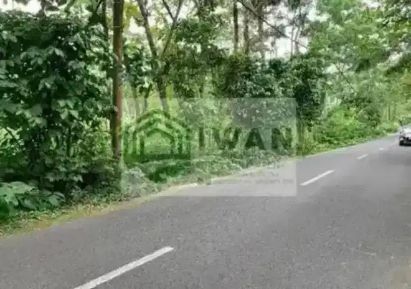 Tanah Iklim Sejuk Murah & Strategis Hadap Jalan Raya Kabupaten