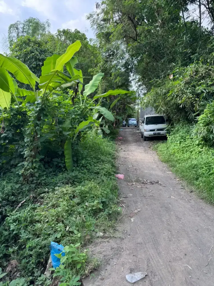 BUC 15mnit to canggu, 6,7 are