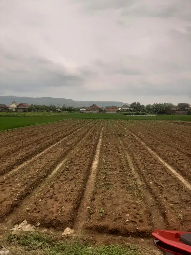 Dijual tanah SHM tulungagung