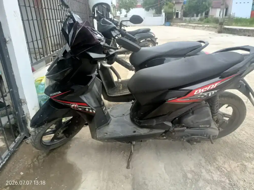 Motor beat 2019