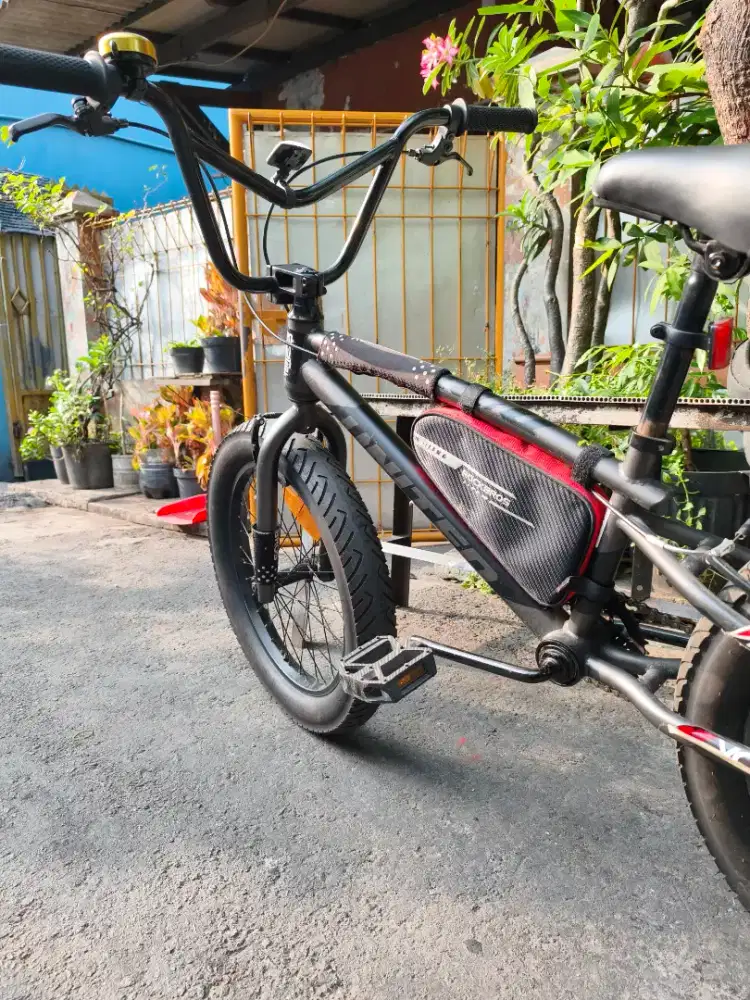 BMX united dbased