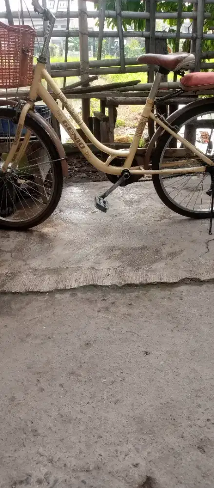Sepedah keranjang dijual