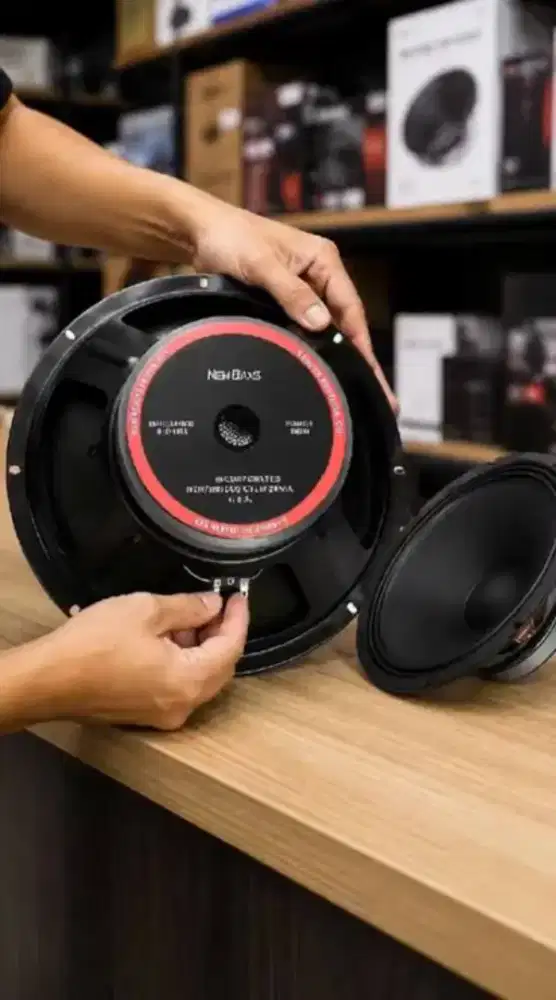 Professional speaker 15inch new baxs SR 15