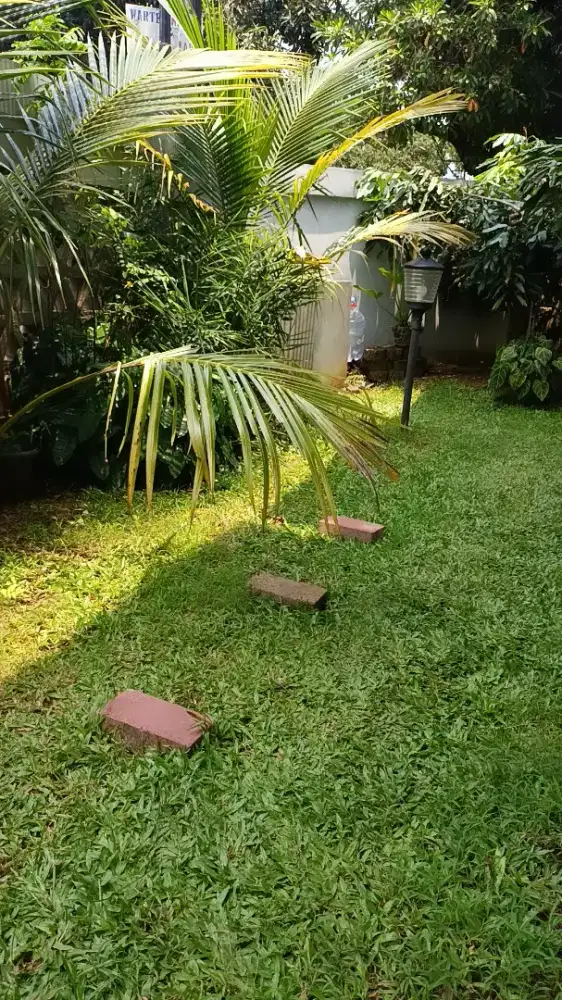 buka jasa bantu bantu