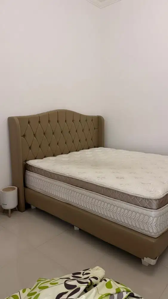 Springbad comforta