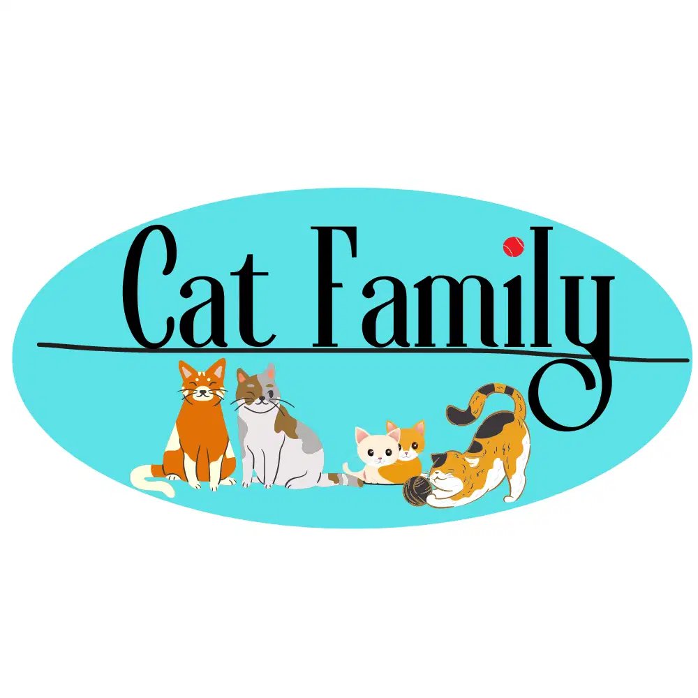 Kasir/Admin Toko Khusus Kucing (Cat Family)