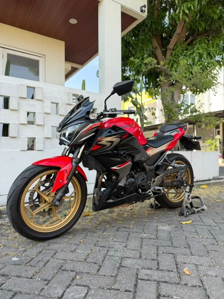 Kawasaki Z250 SE Abs 2017