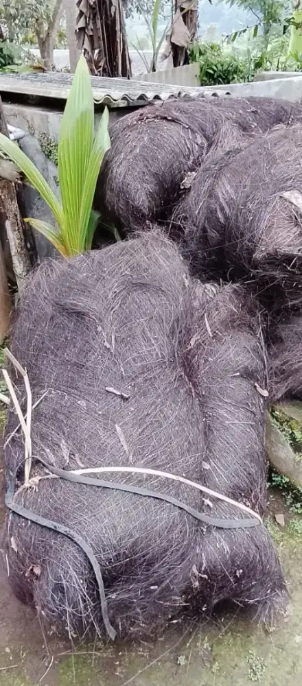 Ijuk Lembaran untuk Pemijahan Ikan dan Atap Saung