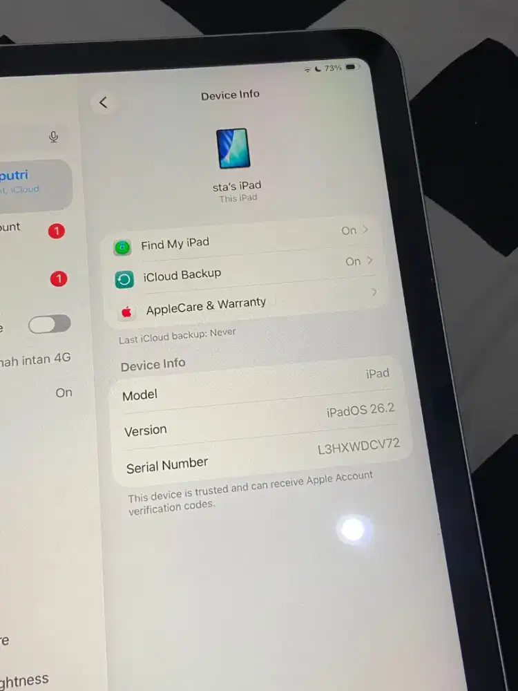 Ipad 10 256gb silver