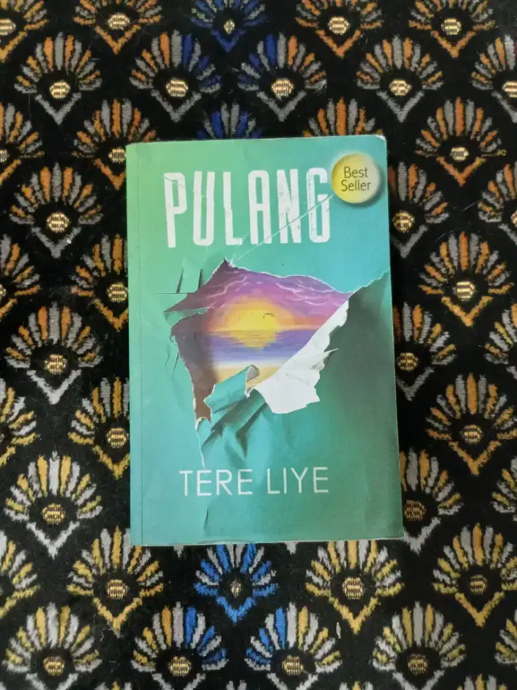 Tere liye - pulang - novel pribadi