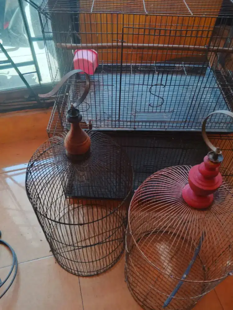 Jual kurungan burung