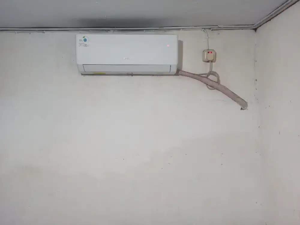 Ac gree standart 1pk