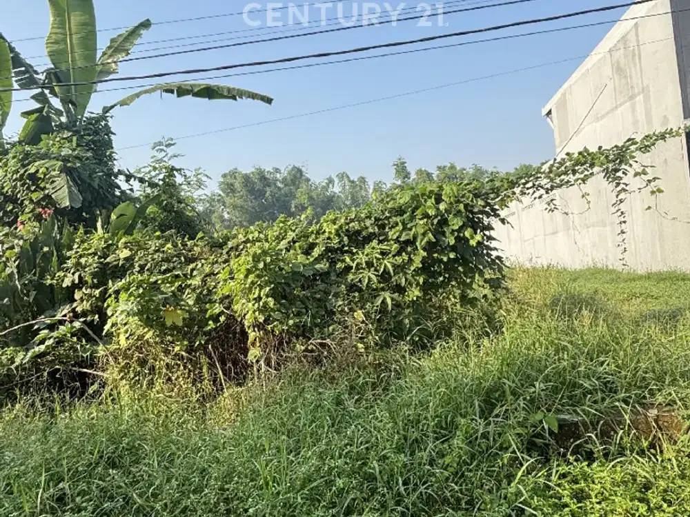 Dijual Tanah Di Depan Jalan Raya  Driyorejo Gresik