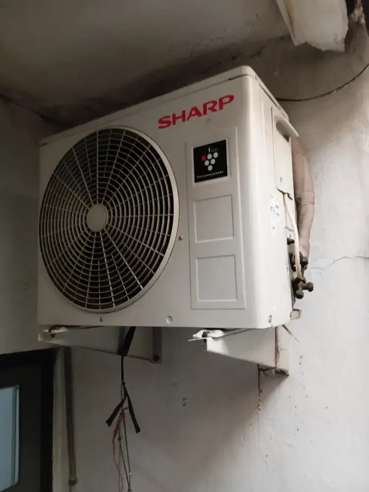 AC Sharp 3/4 PK (nego)