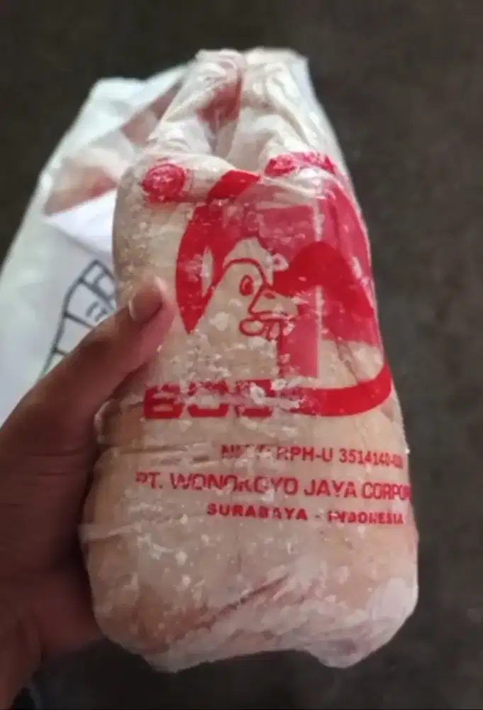 ayam potong murah segar