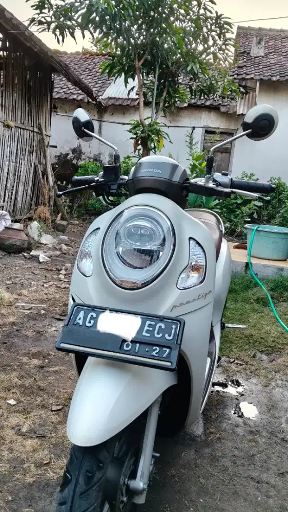 Scoopy prestige 2022