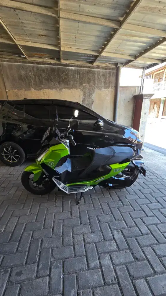 Alva cervo 2024 mulus