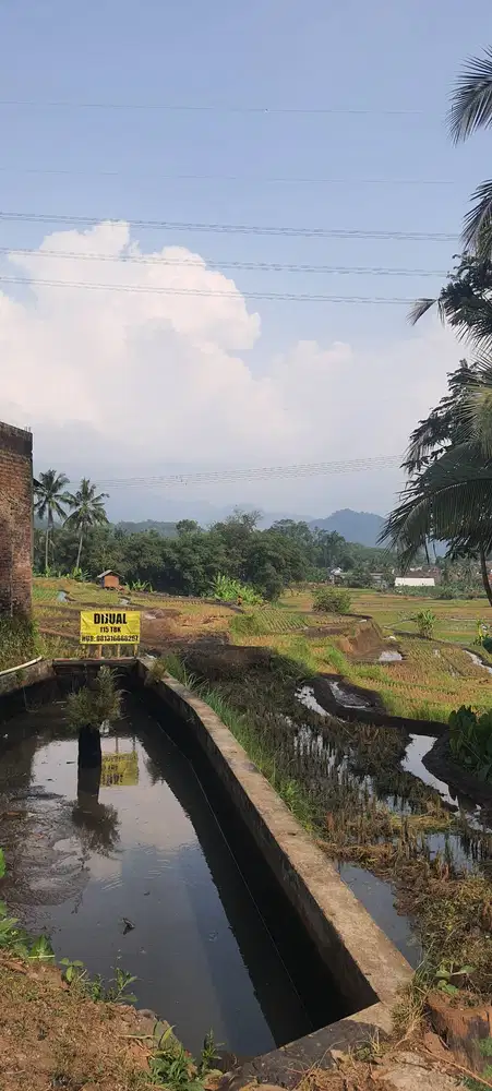 Dijual cepat sawah berikut balong