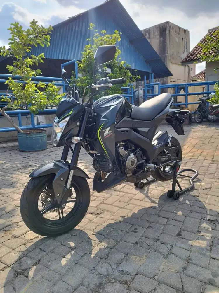 Kawasaki z125 pro