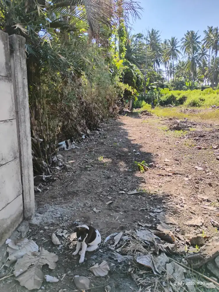 ahli pasang tembok pagar