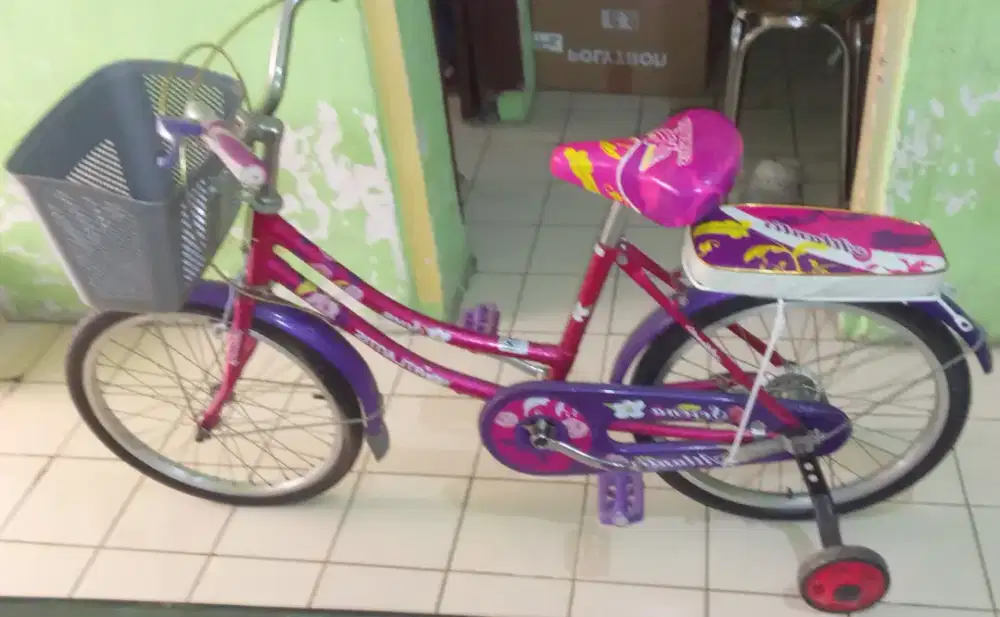 Sepeda Anak Roda 4