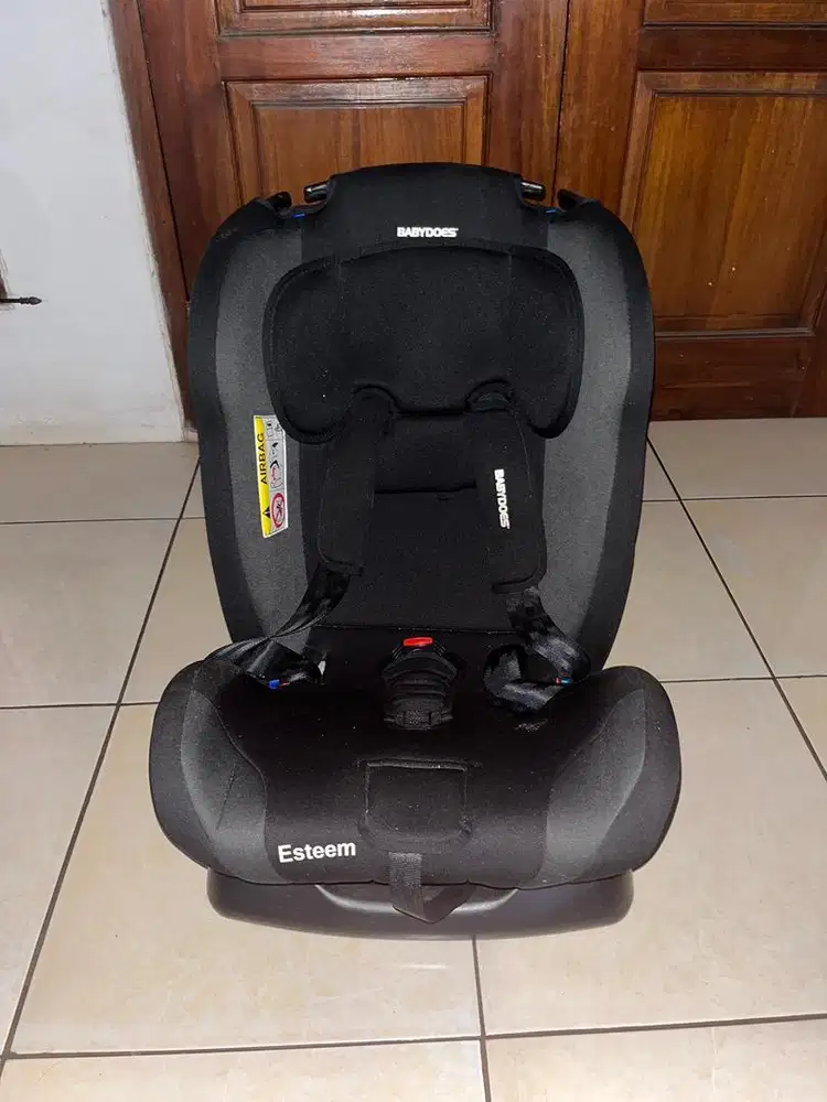 carseat babydoes