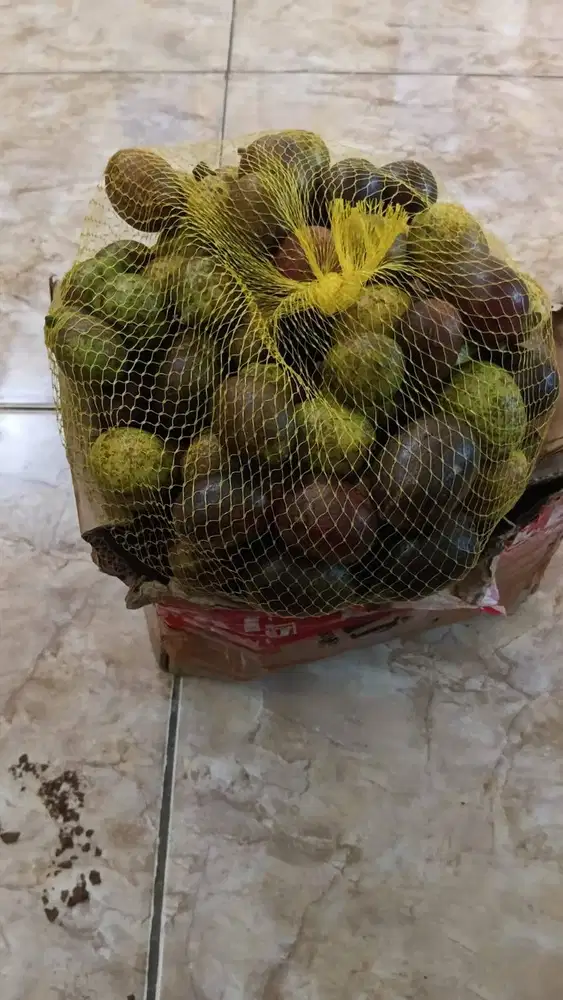 Mencari pekerjaan