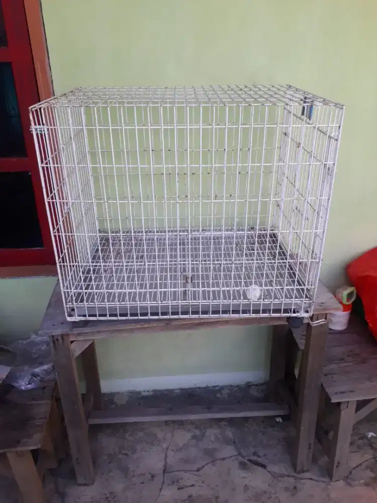 kandang kucing besar kiat