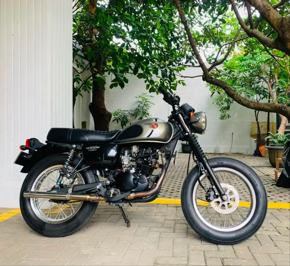 Kawasaki w175 se