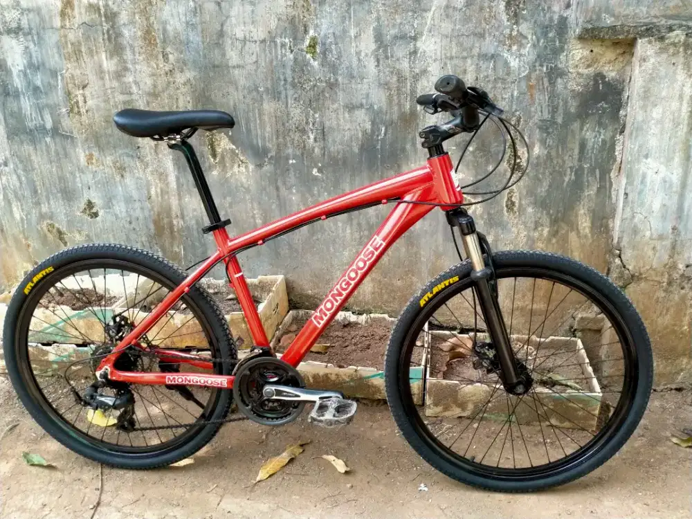 Sepeda gunung/mtb
