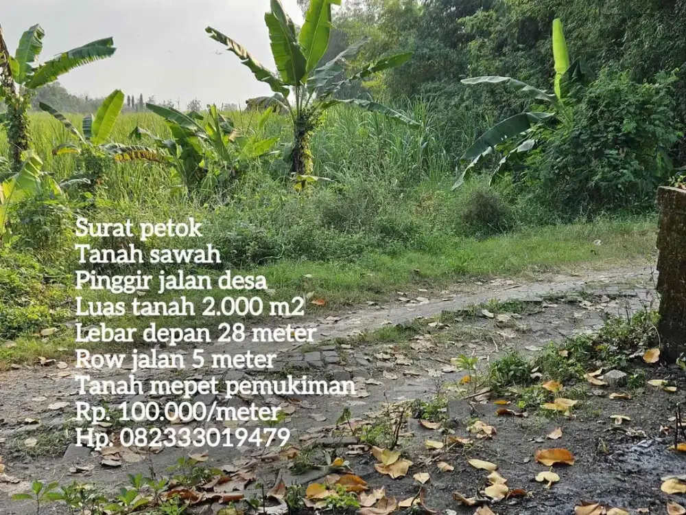 Tanah pinggir jalan desa lokasi balong panggang