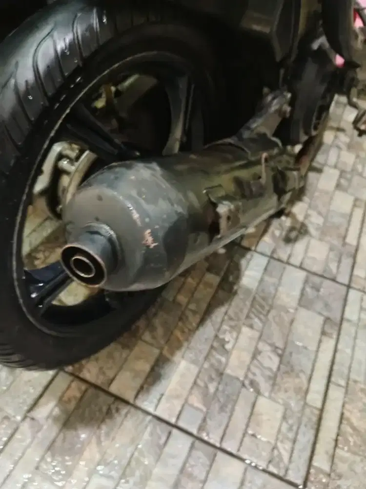 Knalpot mio fino karbu std ori