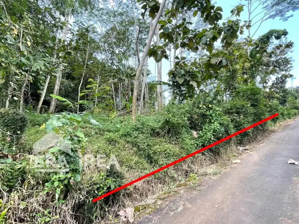 TANAH DIJUAL MURAH DEKAT PINTU TOL BOYOLALI