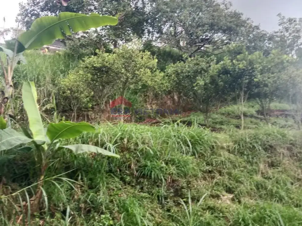 Tanah Dijual Batu Dekat Santerra & Coban Rondo Cocok Resort Villa