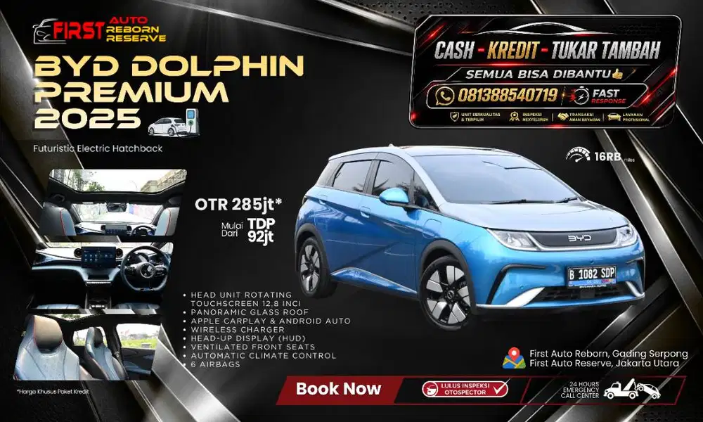 BYD Dolphin Premium Panoramic 2025