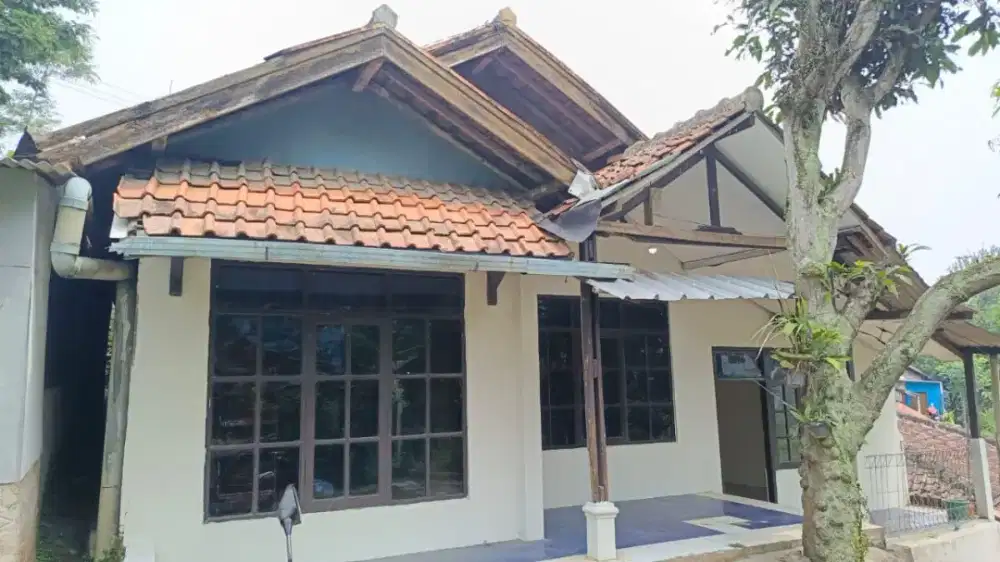 Dikontrakan rumah 12 juta (nego tipis)