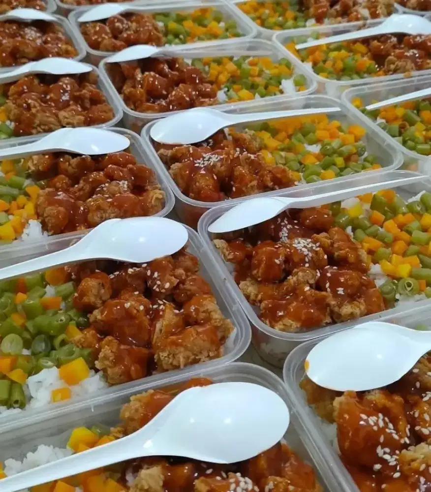 Nasi kotak, catering, part besar dan part kecil