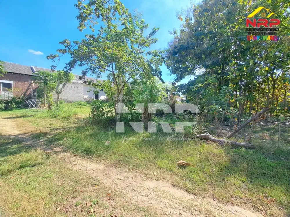 Dijual Tanah Murah 100 Jutaan di Klatak - Banyuwangi