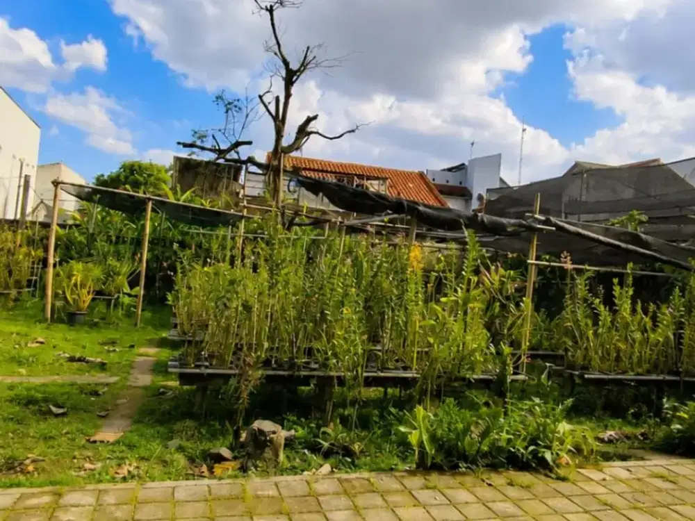 Tanah Pekarangan Strategis di Condongcatur, Peluang Investasi Menjanjikan