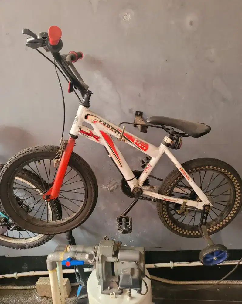 Sepeda anak brand Phoenix P New 515
